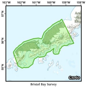 Bristol Bay Survey